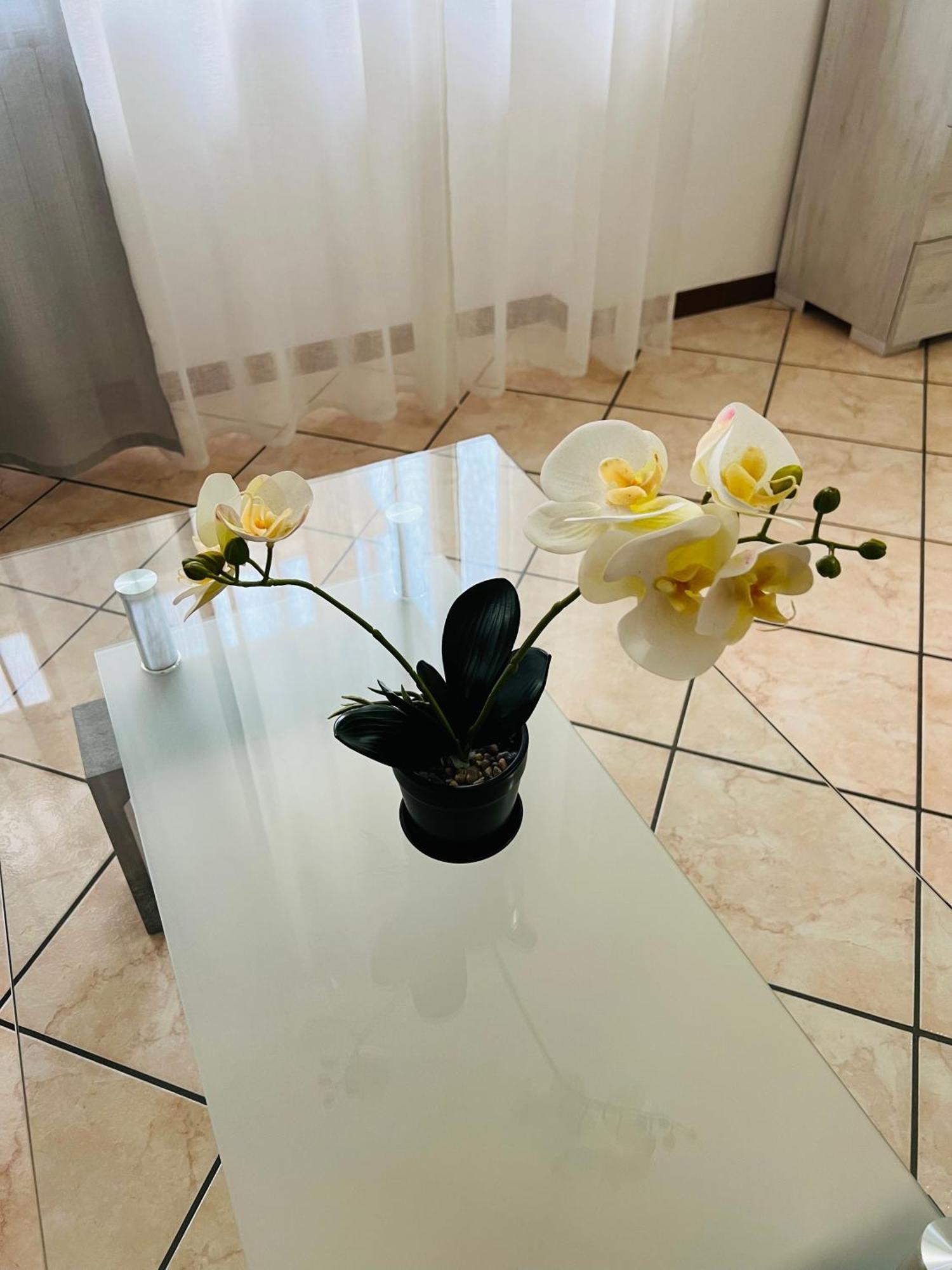 Casa Vacanza Elena 2 Верона Екстериор снимка